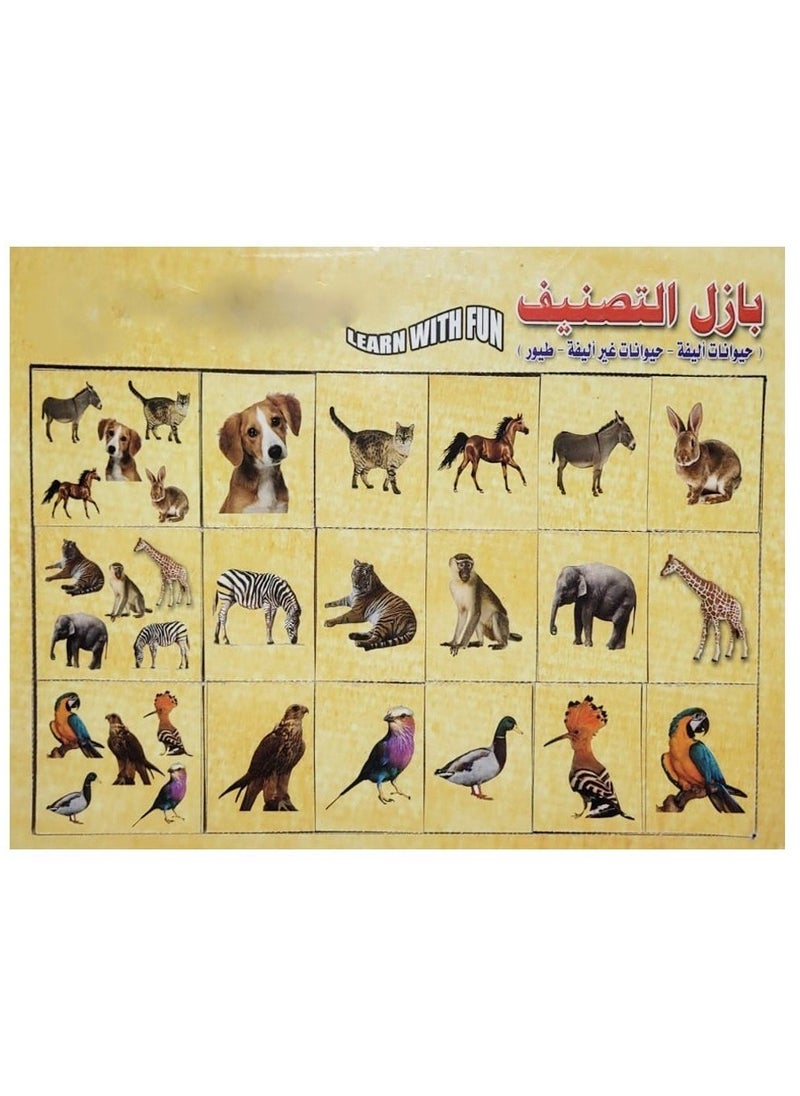 Toys Classification Puzzle Pets Non Pets And Birds  - Image 1