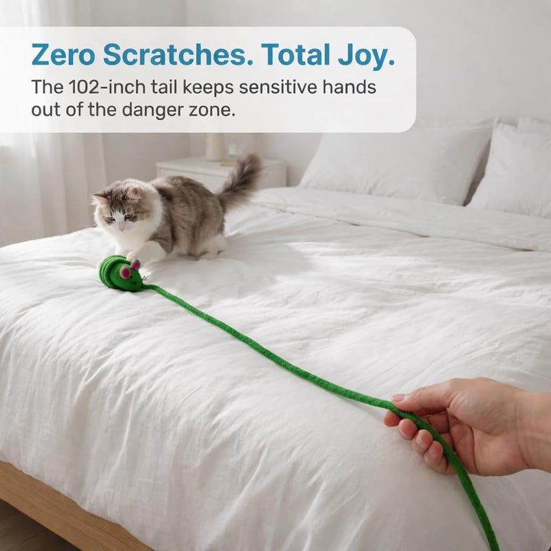 Glaciart One ألعاب قطط من نوع “Glaciart One Felt Lizard”، عدد 2 قطعة، مصنوعة من صوف طبيعي 100%， آمنة للحيوانات الأليفة، باستخدام أصباغ غير تحتوي على مادة AZO. - Image 5