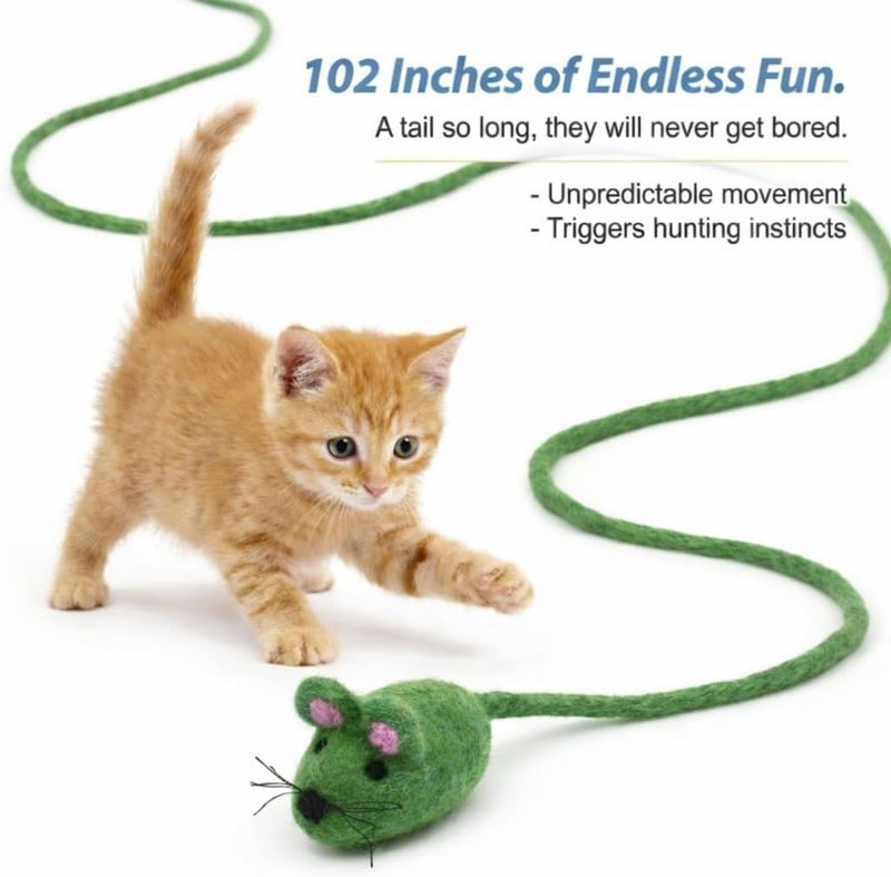 Glaciart One ألعاب قطط من نوع “Glaciart One Felt Lizard”، عدد 2 قطعة، مصنوعة من صوف طبيعي 100%， آمنة للحيوانات الأليفة، باستخدام أصباغ غير تحتوي على مادة AZO. - Image 2