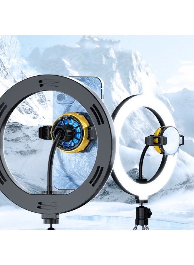 Memo Fast Cooling Mobile Phone Cooler DLA6 , Phone Cooler for Gaming With Cable Type-C Magnetic and Clip Semiconductor Ice Affect Refrigerator Radiator, RGB Light, Ultra Quiet , Compatible with iPhone & Android Gaming Phones - Image 5