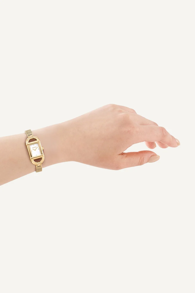د ك ن ي Women Milanese 18MM Watch