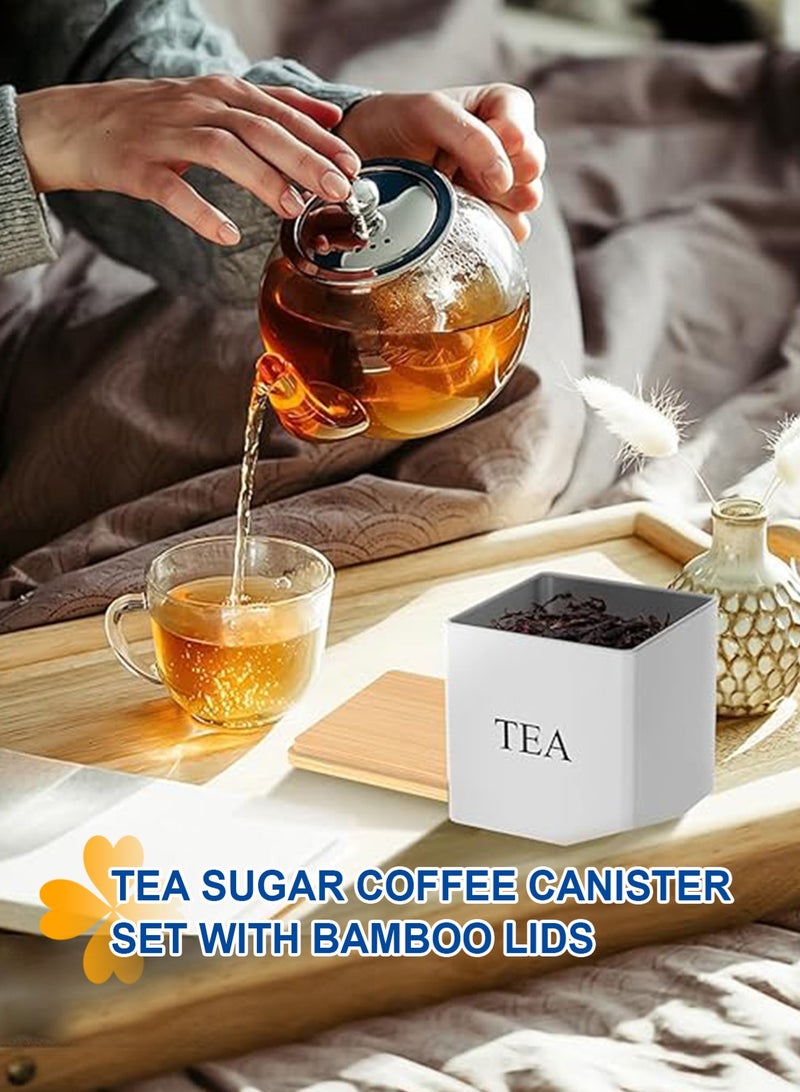 هومار كيت 3 قطع كبيرة السعة الفولاذ المقاوم للصدأ، علبة مطبخ القهوة، منظّم السكر، صندوق تخزين الشاي، أواني تخزين القهوة، مجموعة تخزين حاويات المطبخ مع أكياش الخيزران - Image 3