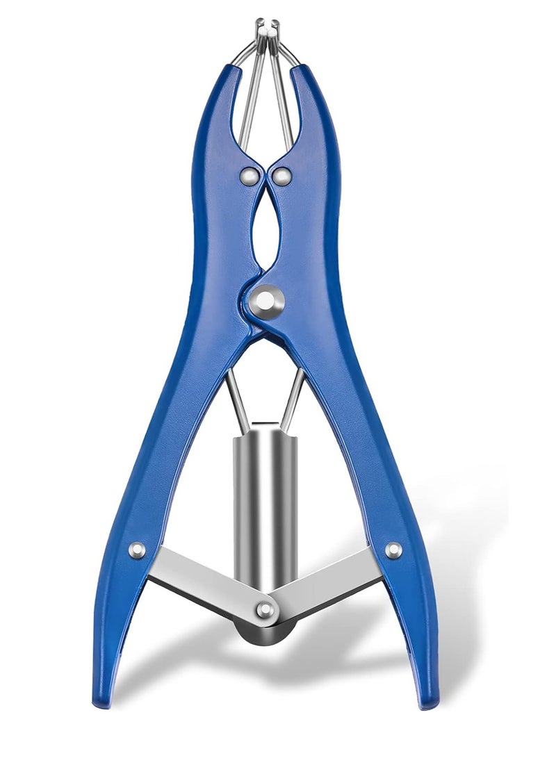 Bukela Expansion Pliers Tool Blue Sequin Filling Pliers Stainless Steel Balloon Mouth Expander DIY Tools for Filling Balloon Sequins Petals Feathers Home Party Activities Supplies (Simple Style) - Image 1