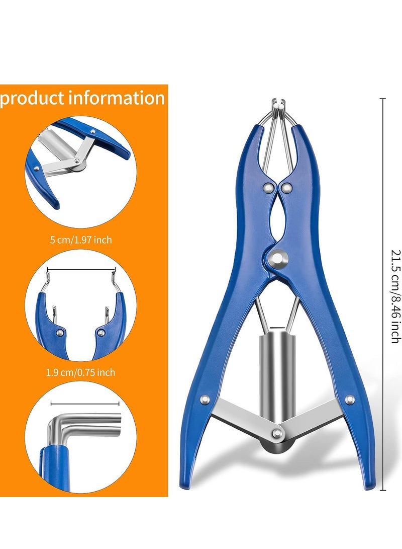 Bukela Expansion Pliers Tool Blue Sequin Filling Pliers Stainless Steel Balloon Mouth Expander DIY Tools for Filling Balloon Sequins Petals Feathers Home Party Activities Supplies (Simple Style) - Image 3