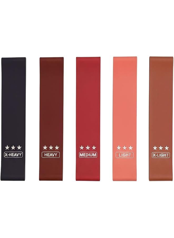 ELEVATE WELLNESS Premium Resistance Bands for Gym & Home – Set of 5 Durable Workout Bands with 5 Resistance Levels, Guide, Carry Bag & Box – Full Body, Glutes & Legs Training