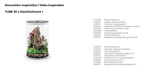 biOrb Small Ambulia Plant Set Colorful and Durable Aquarium Decorations GrayGreen - Image 3
