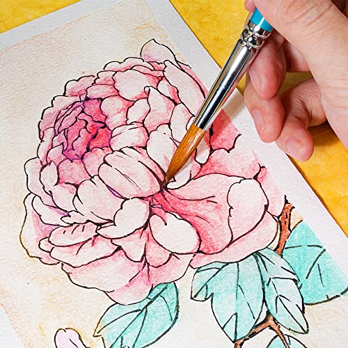 Paul Rubens Watercolor Paint, 12 Assorted Colors with Glitter Sparkle Effect, Professional Grade for Aritsts Adults Begginners, Portable and Compact Art Supplies - Image 3