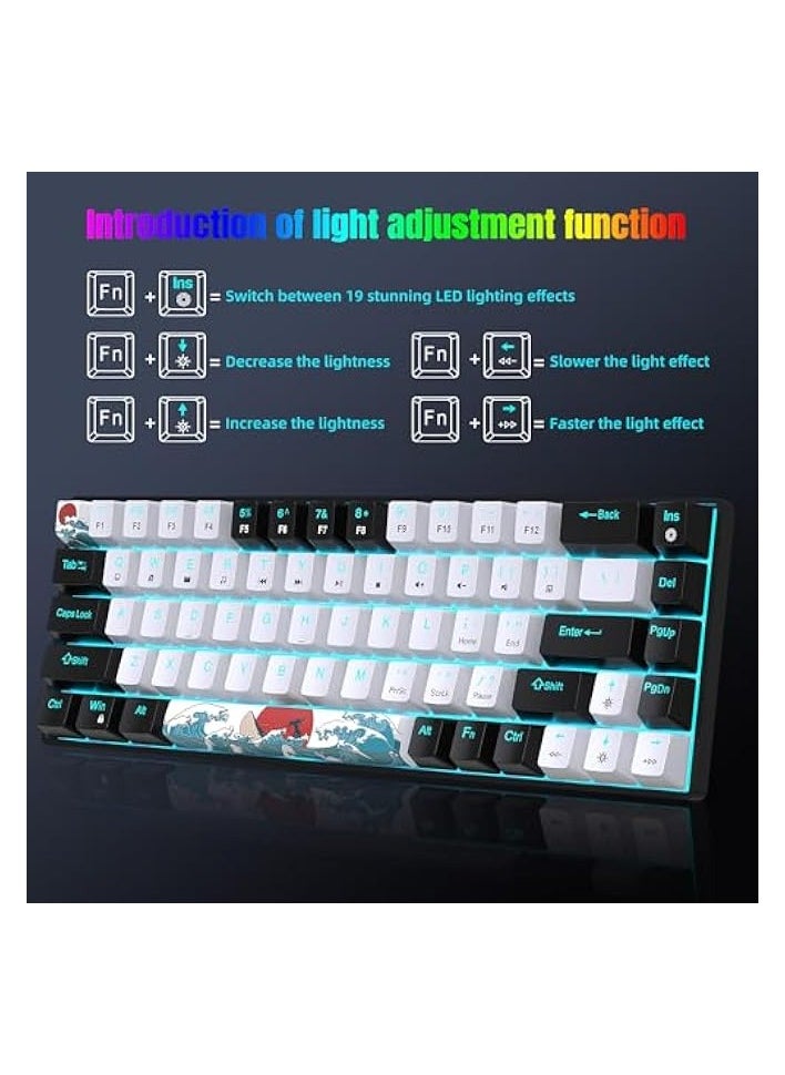 Portable 60% 68 Key Mechanical Gaming Keyboard, Ice Blue Backlight & 19+ Modes,Computer Keyboard Wired Game Keyboard for Windows/Mac IOS/Linux (Black and White, Blue Axis)