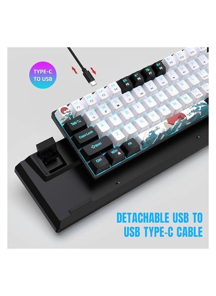 Portable 60% 68 Key Mechanical Gaming Keyboard, Ice Blue Backlight & 19+ Modes,Computer Keyboard Wired Game Keyboard for Windows/Mac IOS/Linux (Black and White, Blue Axis)