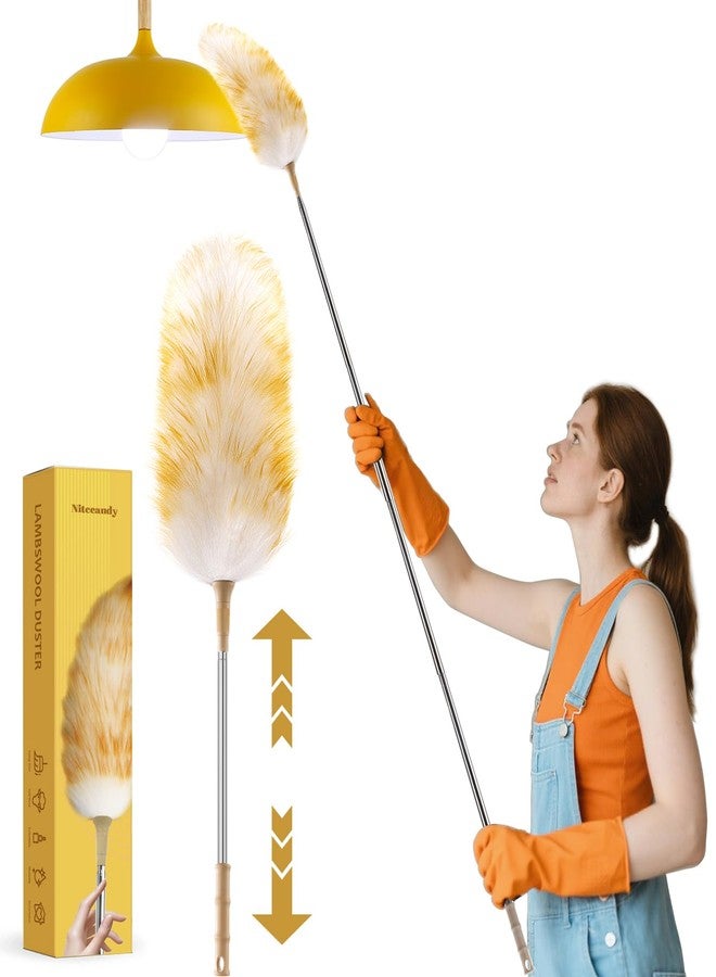 Nitecandy Extendable Lambswool Duster 30-100 Inch, Stainless Steel Long Handle Duster, Natural Feather Duster for Cleaning High Ceilings, Fans, Bookshelves, Interior, Cars, Brown - Image 1