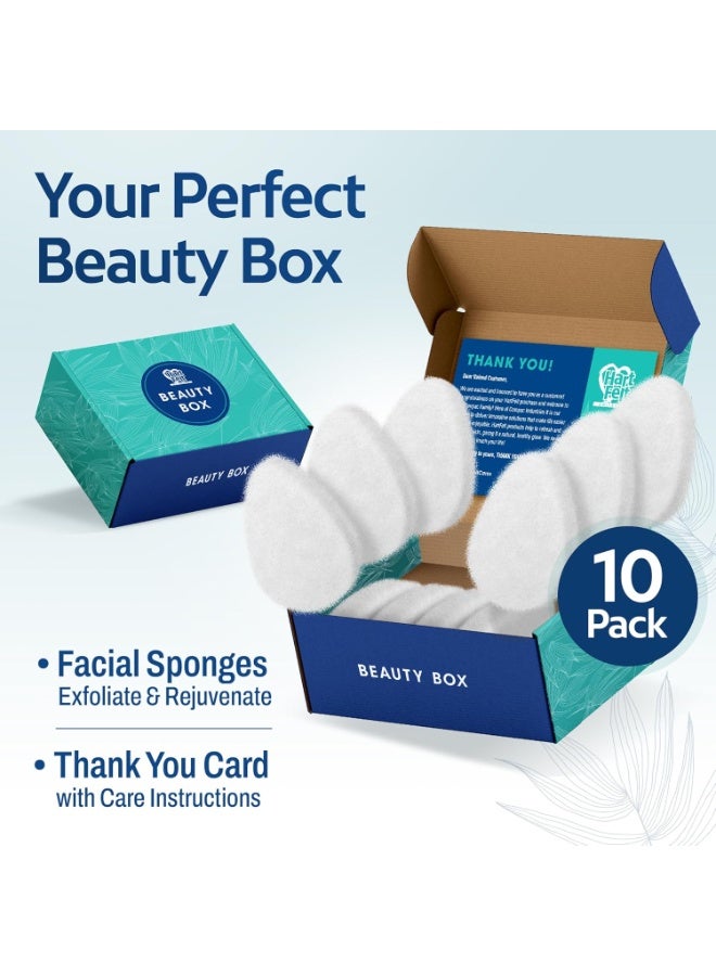 HartFelt [10 Pack] Regular Exfoliating Facial Sponge for Face - Daily Cleansing Scrubber - Buf Dirt Away with Puf Styled Reusable Face Pads for Removing Makeup, Dirt, and Dead Skin - Made in USA - Image 3