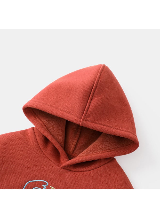 Baby Hooded Sweatshirt Boys Fleece Hoodie Kids Long Sleeve Top Warm Girls New Year Children's Clothing - Image 5