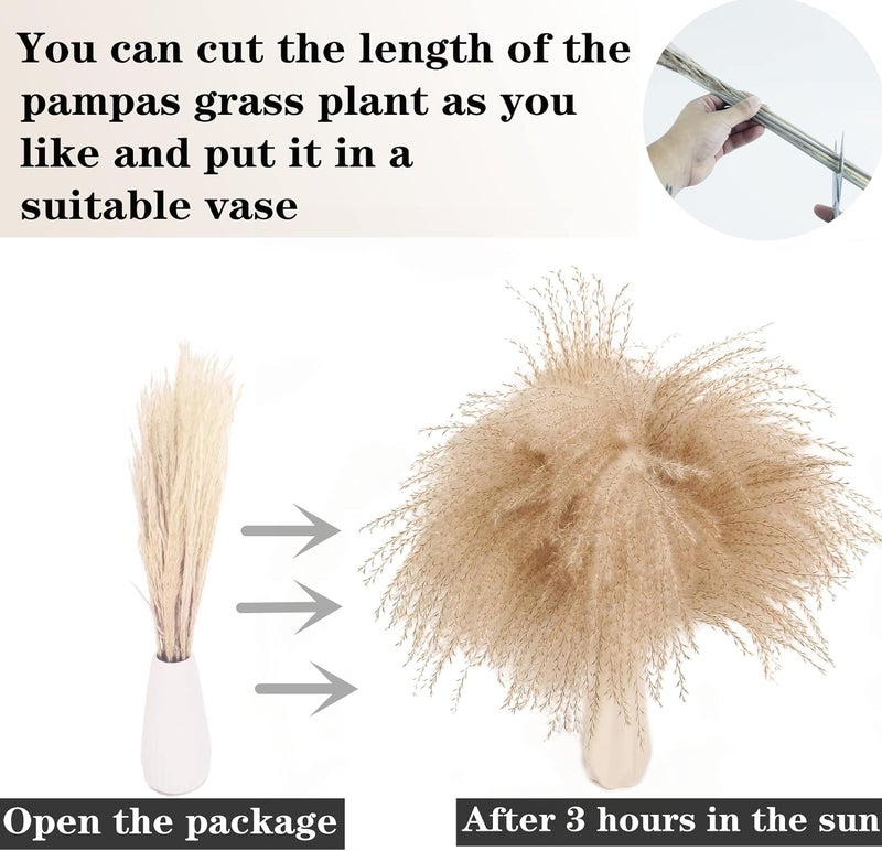 ANPROOR 240 PCS Dried Flower Bouquet – Pampas Grass, Floral Decor for Home, Wedding, and Boho Style | Perfect for Vases, Fall, Spring, Summer, and Winter Arrangements - Image 4