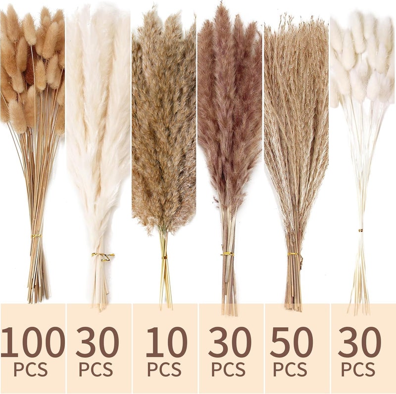 ANPROOR 240 PCS Dried Flower Bouquet – Pampas Grass, Floral Decor for Home, Wedding, and Boho Style | Perfect for Vases, Fall, Spring, Summer, and Winter Arrangements - Image 2