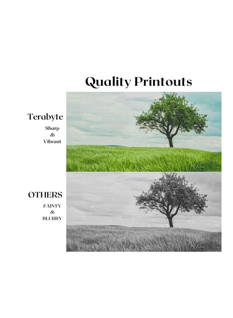 Terabyte TONER CARTRIDGE TN223 MAGENTA - Image 4