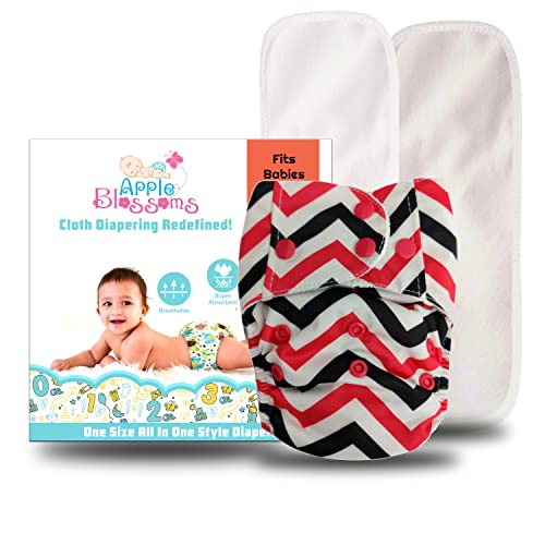 Apple Blossoms Reusable Cloth diaper for babies 3M to 3Y | CPSIA Certified 300+wash |Washable & Adjustable Snap Button | pack includes 1 Diaper with 2 organic Bamboo cotton inserts - Image 1