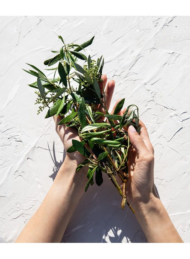 KORRES جل استحمام زيتون - زهرة الزيتون 8.45 أونصة سائلة - Image 4