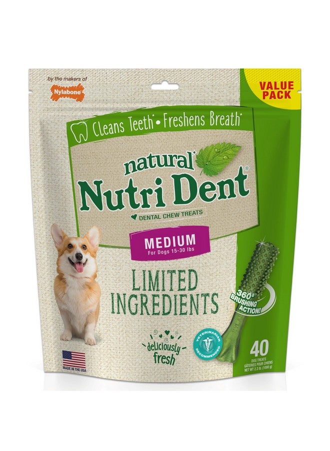 Nylabone Nutri Dent Dog Dental Treats - Natural Dog Teeth Cleaning & Breath Freshener - Dental Treats for Dogs - Fresh Breath Flavor, Medium (40 Count) - Image 1