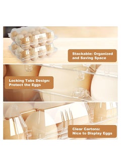 KASTWAVE Clear Plastic Egg Cartons Eco-friendly Egg Holder, Reusable Egg Cartons for 12 Eggs, Large Blank Egg Cartons for Chicken Farm Business Market Home Refrigerator Storage  - Image 4