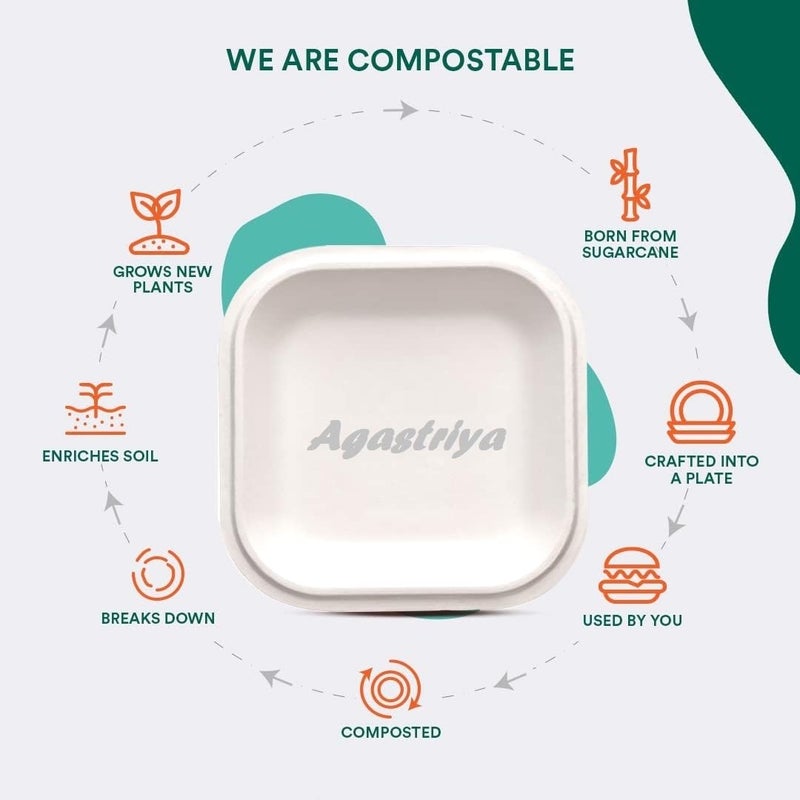 AGASTRIYA Disposable Bagasse Plates 10 Inches EcoFriendly Biodegradable Sugarcane Paper Plates 75 Pieces Serving Snacks Dinner Microwave Refrigerator Safe - Image 2