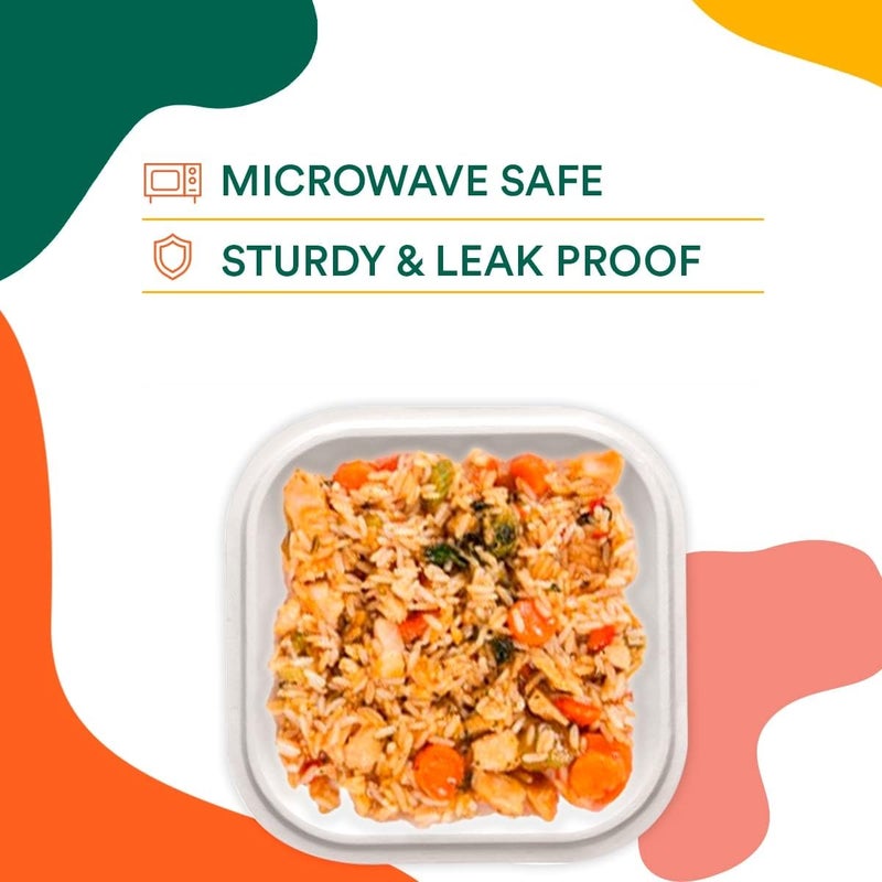 AGASTRIYA Disposable Bagasse Plates 10 Inches EcoFriendly Biodegradable Sugarcane Paper Plates 75 Pieces Serving Snacks Dinner Microwave Refrigerator Safe - Image 5