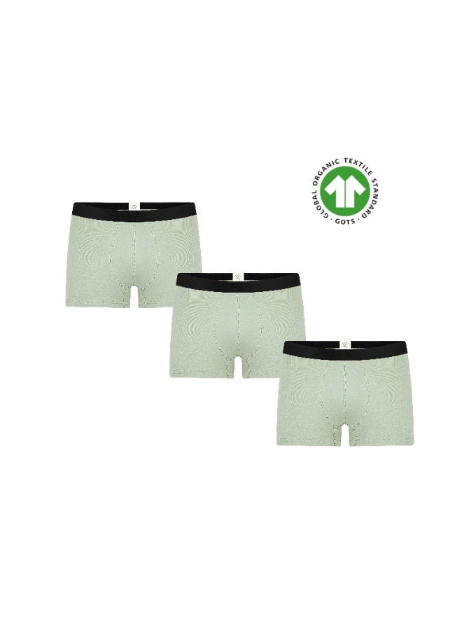 ALBERO NATUR 3P2121-109 Men's Organic Cotton Trunk Shorts - Image 1