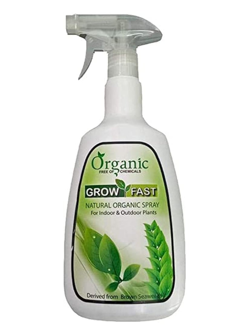 GROW FAST Grow Fast Organic Spray For Indoor/Outdoor Plants 860ml - Image 1