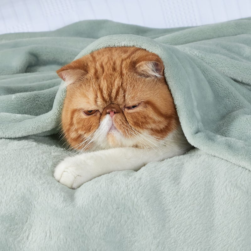 Bedsure GentleSoft Fleece Throw XL Blanket Sage Green - 300GSM Soft Lightweight Plush Cozy Blankets for Bed, Sofa, Couch, Travel, Camping, 50x70 inches - Image 2