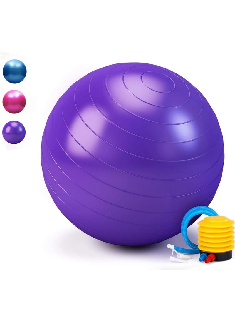 Anti-Burst Thickened Yoga Ball with Air Pump Stability Balance Ball for Home Fitness - Image 1