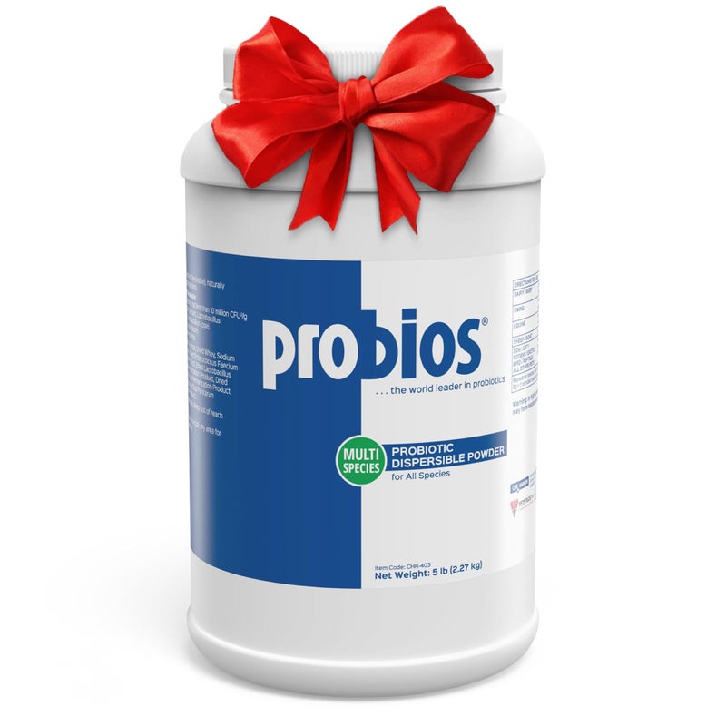 Probios Digestive Support Probiotic for All Species, Probiotics for Gut Health, Dispersible Powder, 5 lbs - Image 1