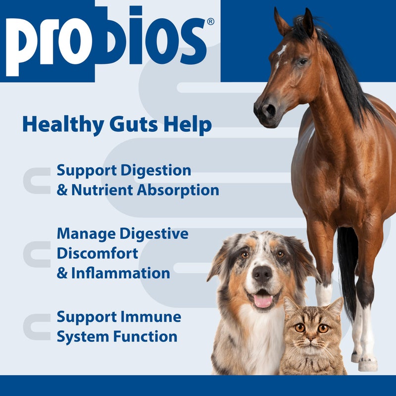 Probios Digestive Support Probiotic for All Species, Probiotics for Gut Health, Dispersible Powder, 5 lbs - Image 3
