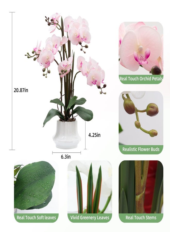 CXGS Artificial Orchid Flower Plant 20.9'' Real Touch Faux Orchids in Ceramic Vase Pink Fake Phalaenopsis Flower Arrangement Silk Orchids with Stems for Centerpiece Table Home Indoor Decor - Image 2