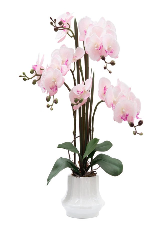 CXGS Artificial Orchid Flower Plant 20.9'' Real Touch Faux Orchids in Ceramic Vase Pink Fake Phalaenopsis Flower Arrangement Silk Orchids with Stems for Centerpiece Table Home Indoor Decor - Image 1