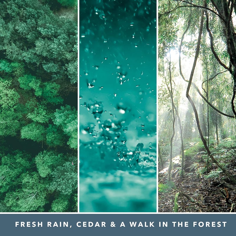 YANKEE CANDLE شمعة يانكي كاندل المميزة ج Jar L خشب الأرز من بايسايد - شمعة معطرة - Image 3