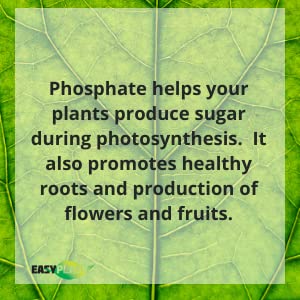 Easy Peasy سماد الفوسفات الثلاثي الفائق 0-46-0 | سماد الفوسفور للحدائق، المروج، النباتات الداخلية والخارجية | سماد فوسفات الصخور للنباتات الأوركيد، الوستارية، الصبار وجميع النباتات الأخرى - Image 3