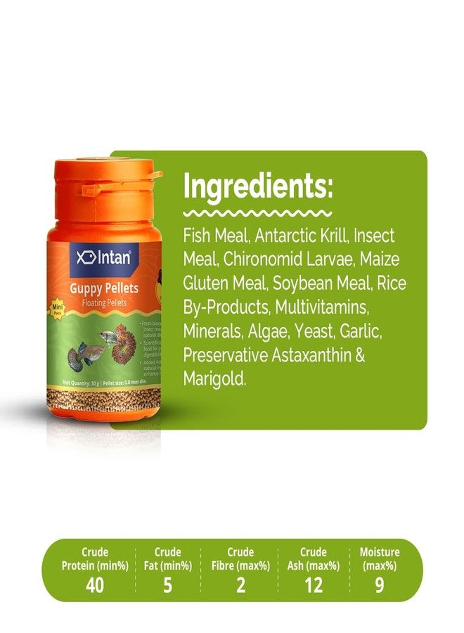 Intan Guppy Pellets (0.8mm Floating) | 30gm - Highly Nutritious Ornamental Fish Food for Guppies & Small Surface Eating Fish | Growel Feeds - Image 3