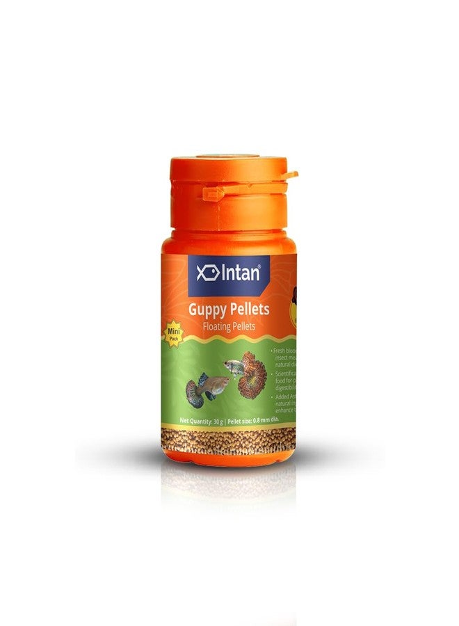 Intan Guppy Pellets (0.8mm Floating) | 30gm - Highly Nutritious Ornamental Fish Food for Guppies & Small Surface Eating Fish | Growel Feeds - Image 1