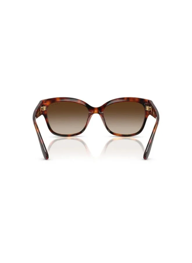 Vogue Eyewear 0Vo5638Su Butterfly Sunglasses