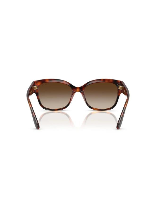 Vogue Eyewear 0Vo5638Su Butterfly Sunglasses - Image 3