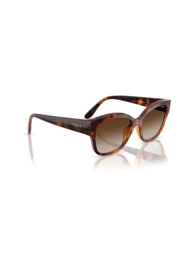 Vogue Eyewear 0Vo5638Su Butterfly Sunglasses - Image 4