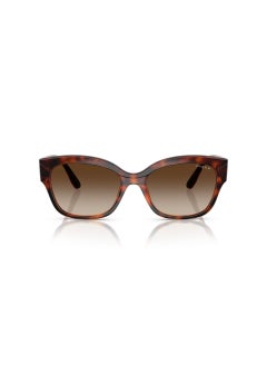 Vogue Eyewear 0Vo5638Su Butterfly Sunglasses  - Image 5