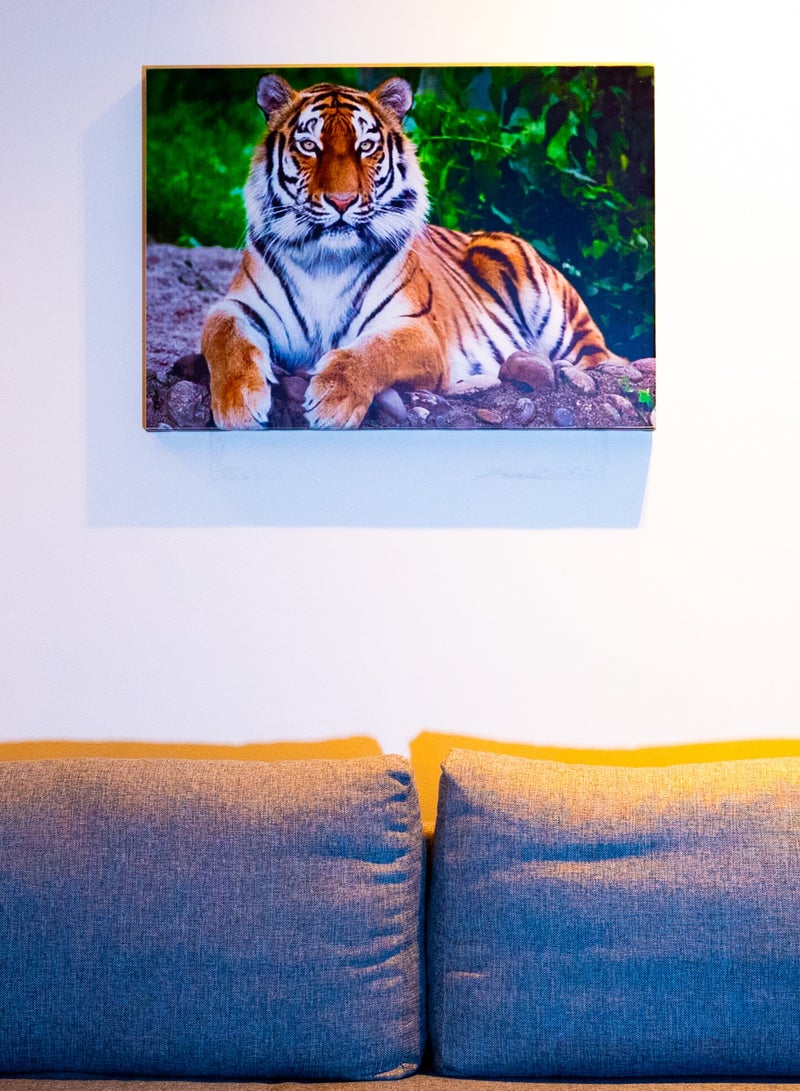 Fierce Tiger Canvas Wall Frame - Image 2