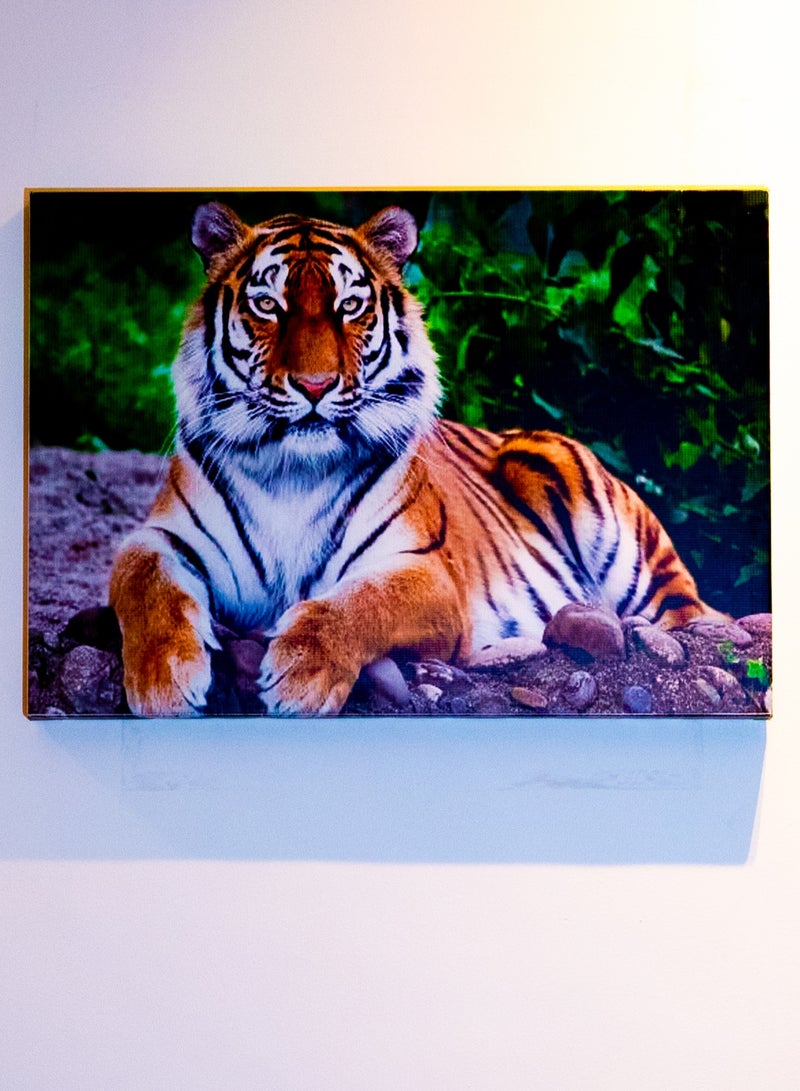 Fierce Tiger Canvas Wall Frame - Image 1