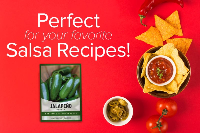Gardeners Basics, Jalapeno Pepper Seeds for Planting Heirloom Non-GMO Jalapeno Peppers Plant Seeds for Home Garden Vegetables Makes a Great Gift for Gardeners - Image 3