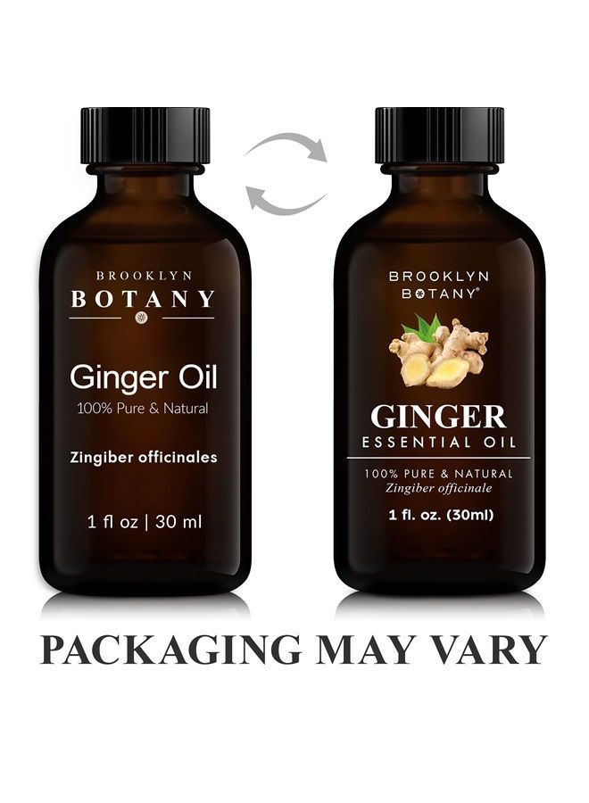 Ginger Essential Oil – 100% Pure and Natural – Therapeutic Grade Essential Oil with Dropper - Ginger Oil for Aromatherapy and Diffuser - 1 Fl. OZ
