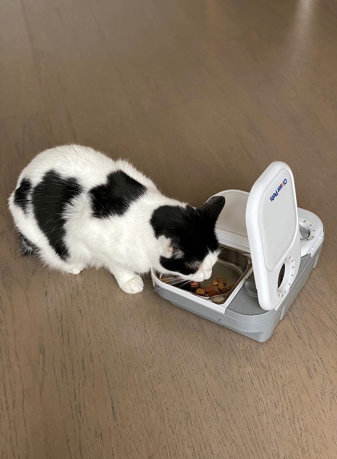 Closer Pets C200 2 Meal Timer-Controlled Automatic Pet Feeder - for Cats and Small Dogs, Wet or Dry Food, Stainless Steel Bowl Inserts and Ice Pack, up to 14 oz Each, White - Image 2