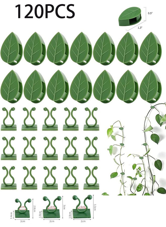 جيوستوس 120 قطعة من مشابك تركيبات الحائط لتسلق النباتات، مشابك حائط نباتية لاصقة، مشابك نباتات تسلق الأكريليك تدعم نباتات الكرمة، مشابك تثبيت كرمة النبات، دعم تثبيت الأسلاك لتثبيت نباتات التسلق - Image 1