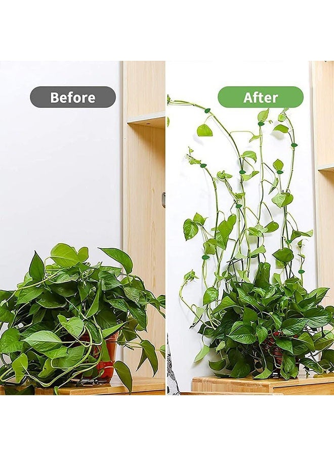 جيوستوس 120 قطعة من مشابك تركيبات الحائط لتسلق النباتات، مشابك حائط نباتية لاصقة، مشابك نباتات تسلق الأكريليك تدعم نباتات الكرمة، مشابك تثبيت كرمة النبات، دعم تثبيت الأسلاك لتثبيت نباتات التسلق - Image 5