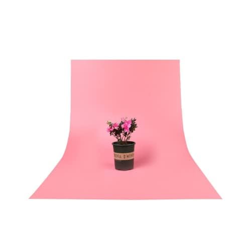 SMILEDRIVE® Photography Background Sheets - Backdrop Sheets 60 x 120 cm Waterproof Wrinklefree PVC Material (Grey and Pink) - Image 4