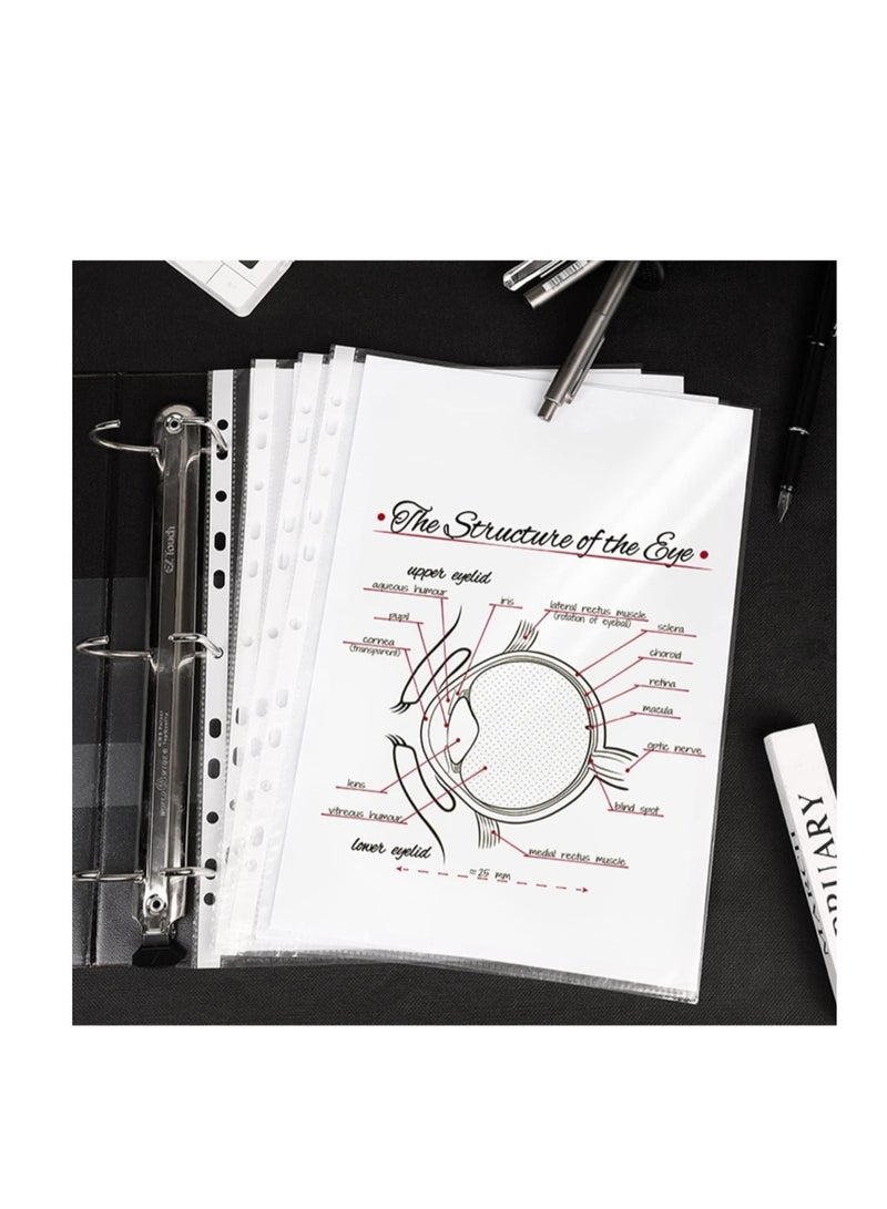 PRIMA transparent perforated plastic file - Image 3